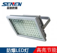 CCD97免維護(hù)LED防爆泛光燈