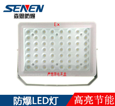 BSX86-C防爆LED燈100W